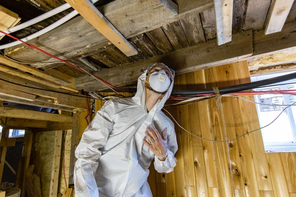 man at work in full PPE (personal protective equipment), used to protect from airborne mold spores